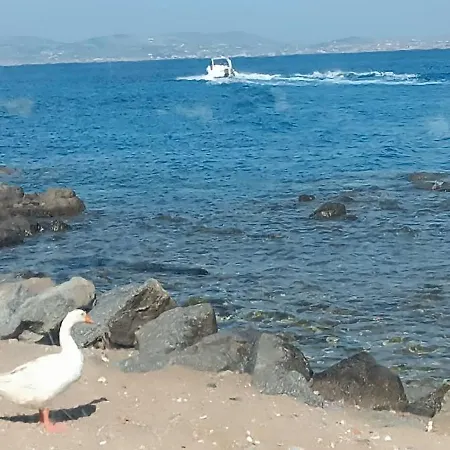 Actis 2 ステリダ