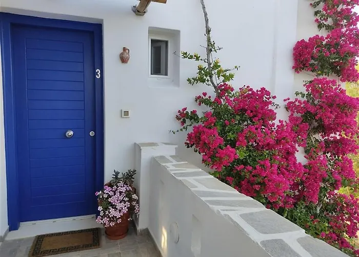 Actis 2 ステリダ